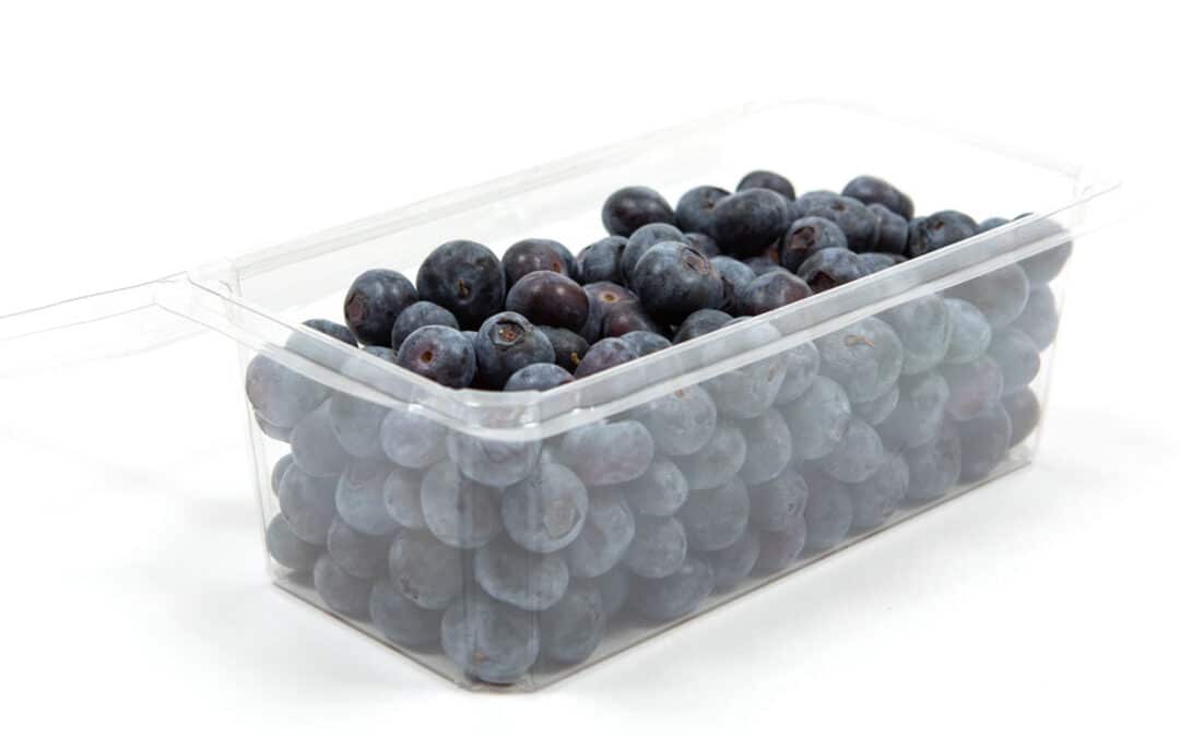 Fresh Blueberries In Clear Packaging
