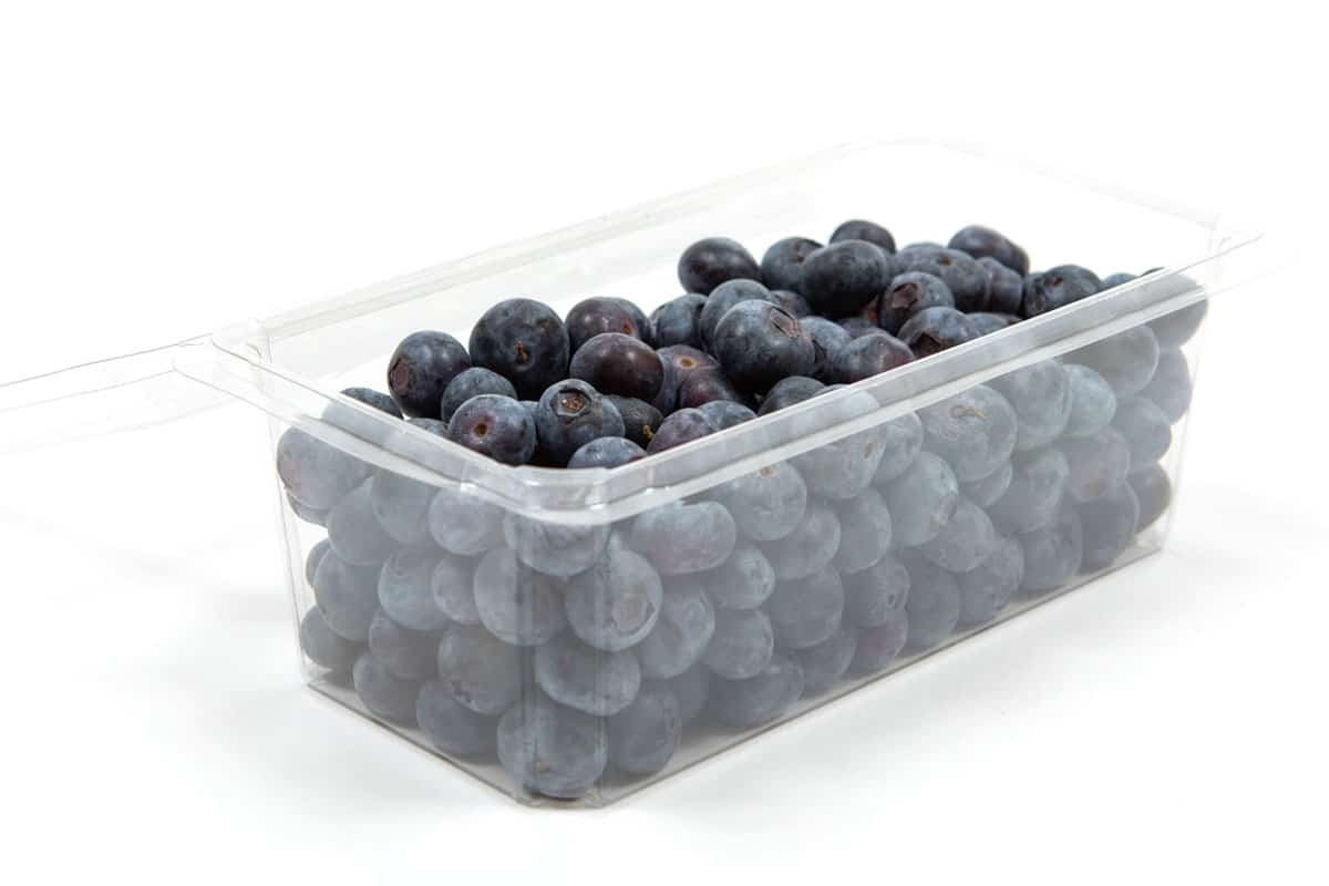 Fresh Blueberries In Clear Packaging